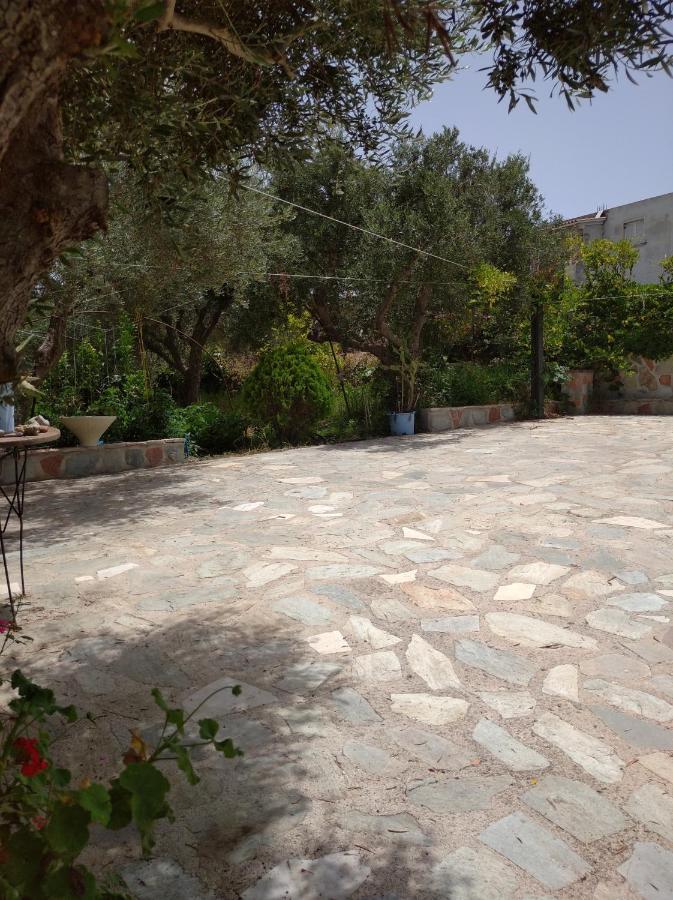 Mila La Villa Kastron  Ngoại thất bức ảnh